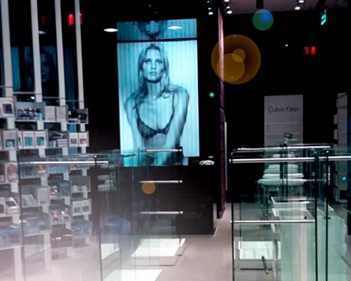 PVH Calvin Klein